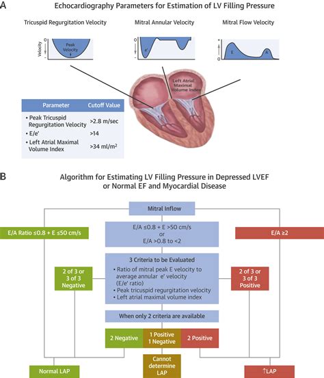 lv diastolic function|what is Lv diastolic dysfunction.